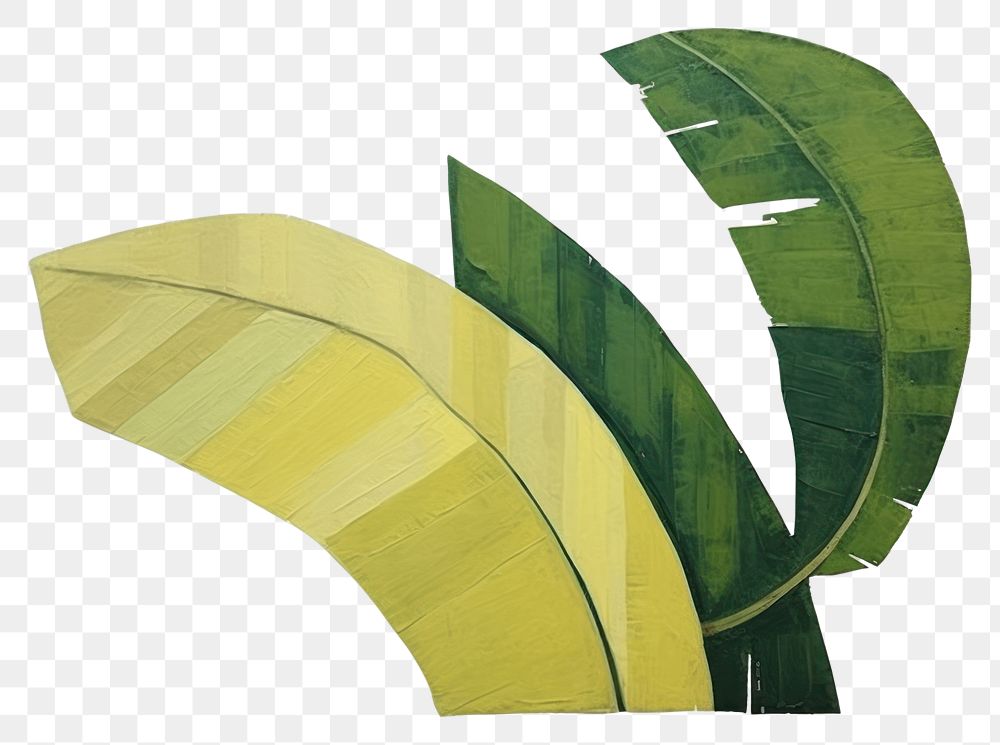 PNG Banana leaf art plant backgrounds.