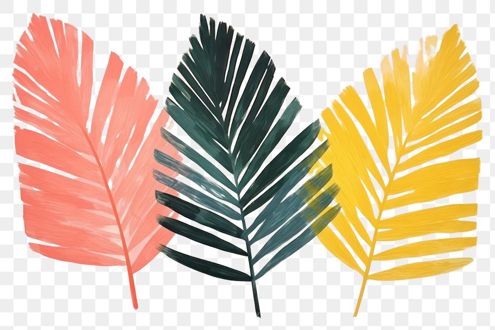 PNG Palm leaves art painting plant.