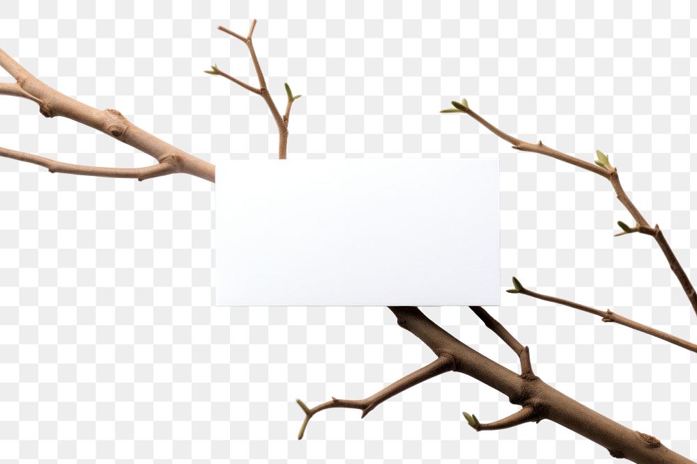 PNG Business card on a branch plant paper white.