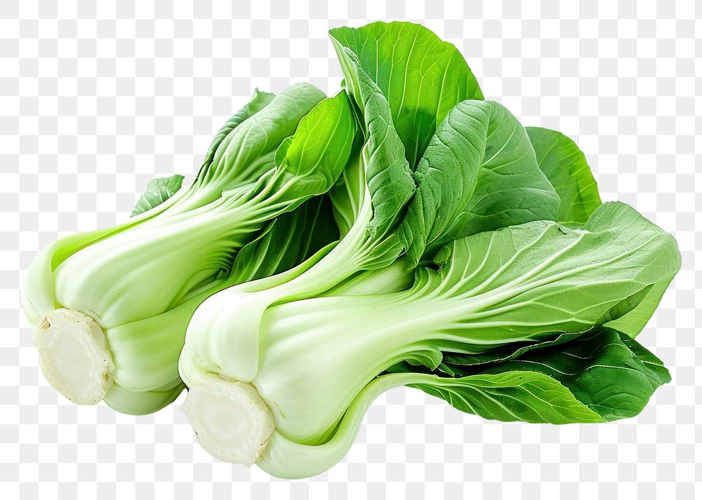 PNG  Vegetable plant food white background.