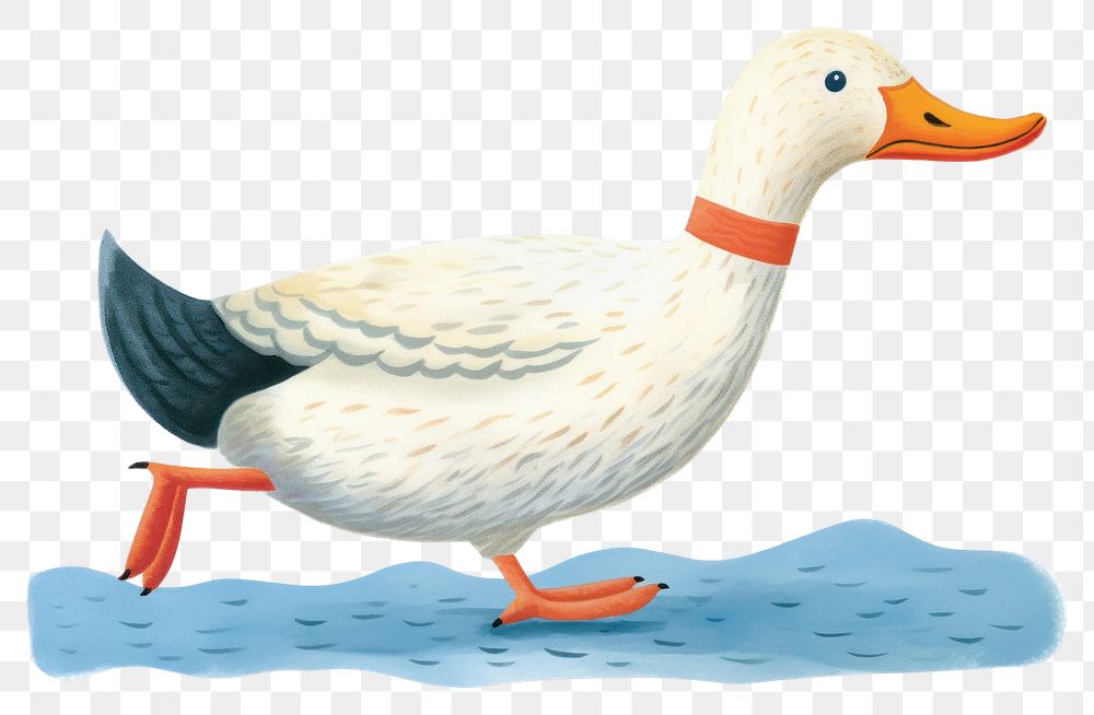 PNG Duck animal goose bird.