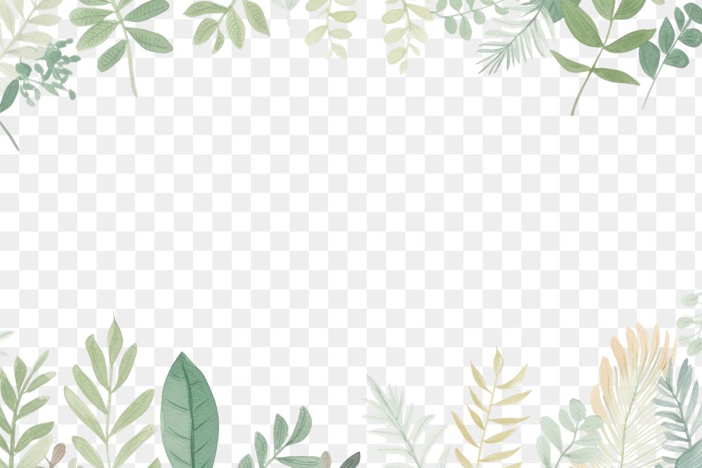 PNG Foliage plant pattern nature. AI generated Image by rawpixel.