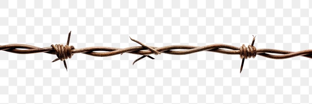 PNG Barbed wire white background forbidden weaponry.