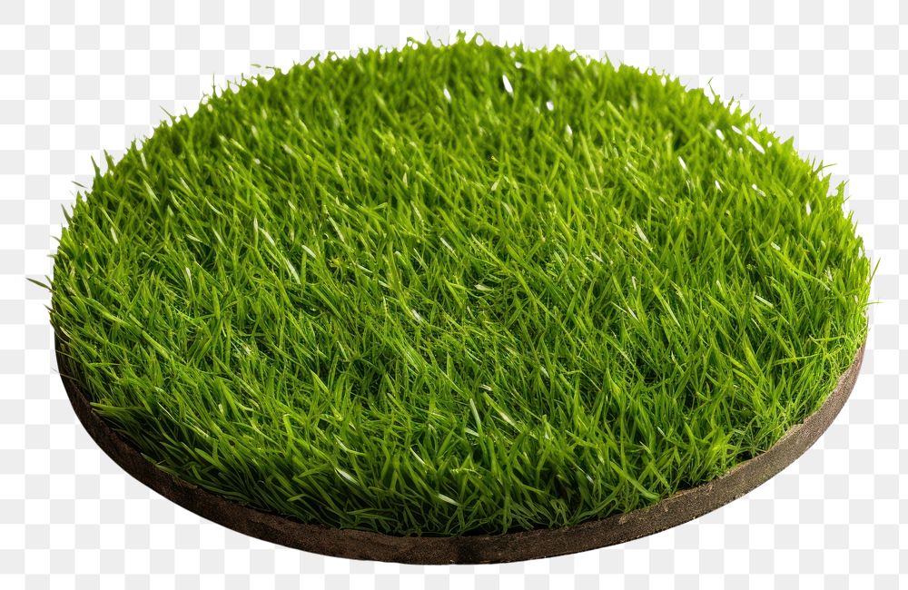 PNG Flat round surface grass plant green. AI generated Image by rawpixel.