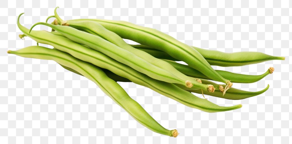 PNG Haricots verts vegetable plant food.