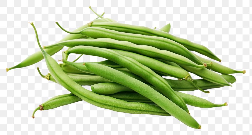 PNG Haricots verts vegetable plant food.