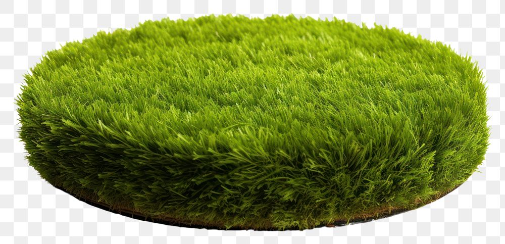 PNG Round surface grass plant green. AI generated Image by rawpixel.