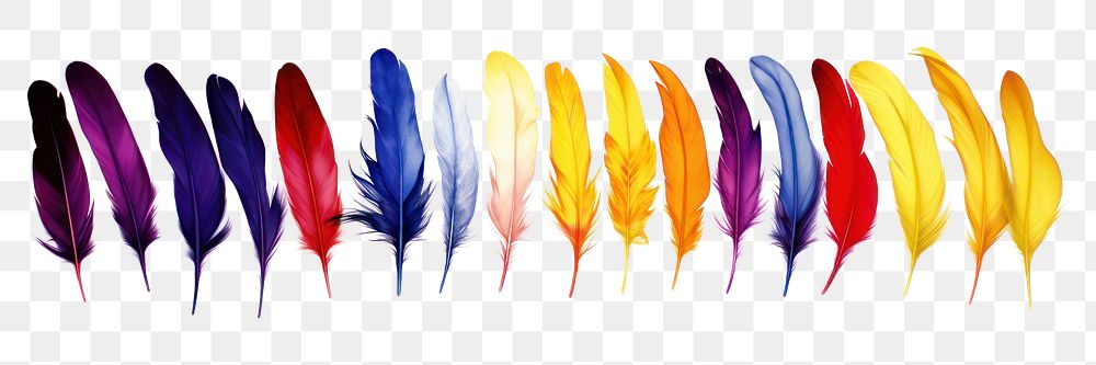 PNG Feathers petal white background lightweight.