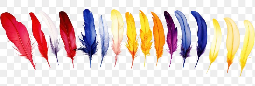 PNG Feathers white background lightweight accessories.