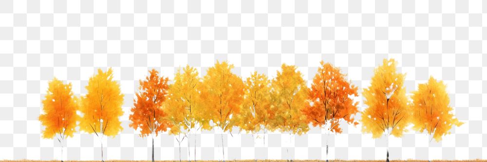 PNG Maple trees in autumn landscape panoramic outdoors.
