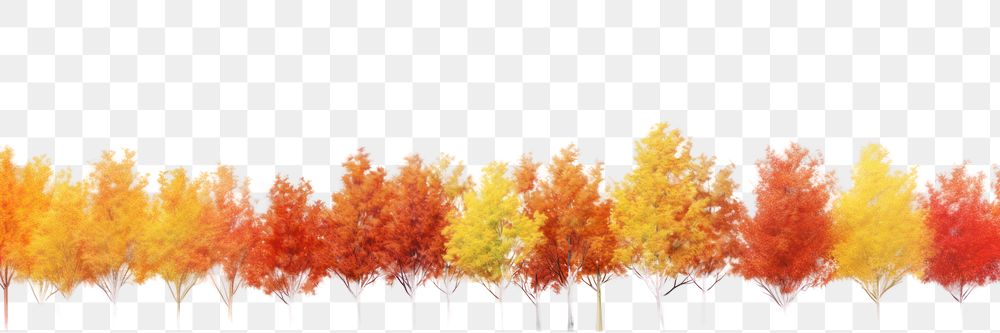 PNG Maple trees in autumn backgrounds outdoors nature.