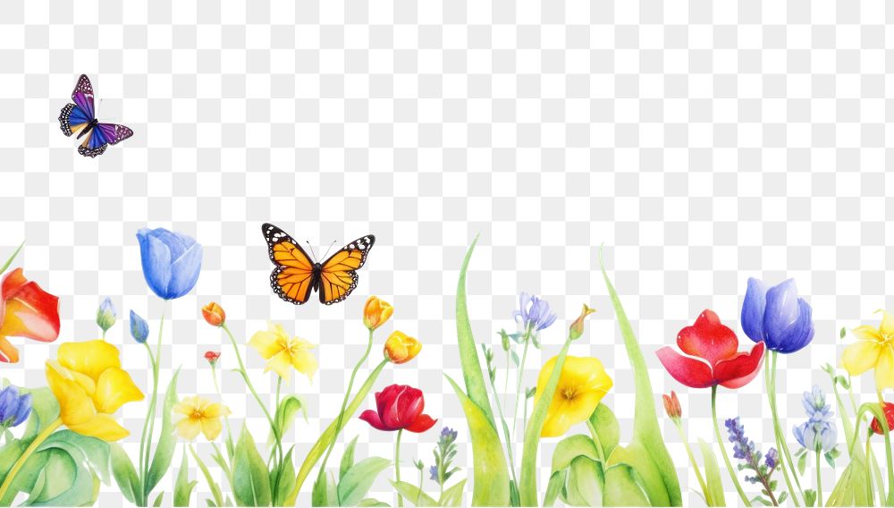 PNG Spring flowers and butterfly outdoors nature insect.