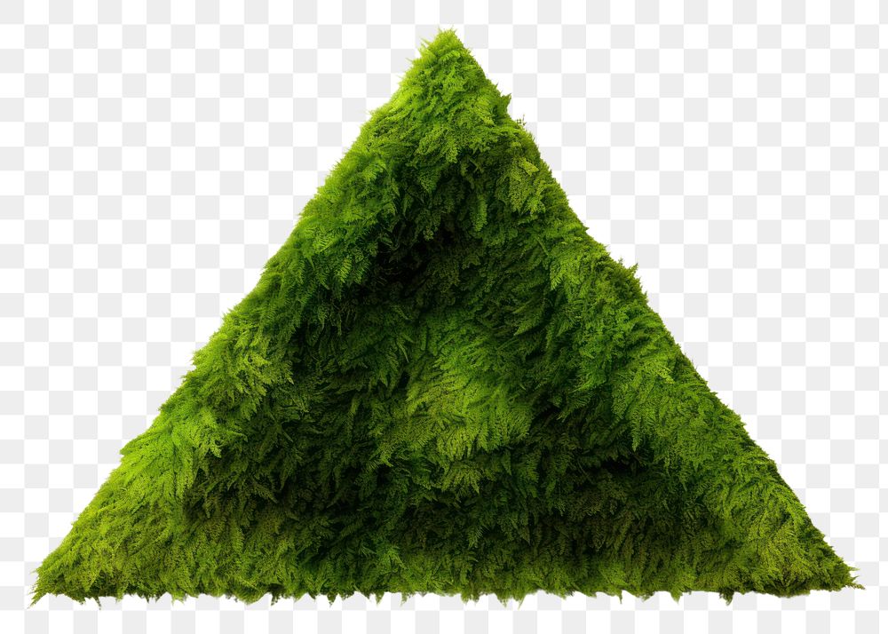 PNG  Triangle moss plant green. AI generated Image by rawpixel.