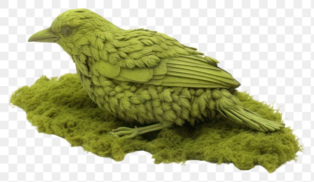 PNG  Bird animal green plant. AI generated Image by rawpixel.