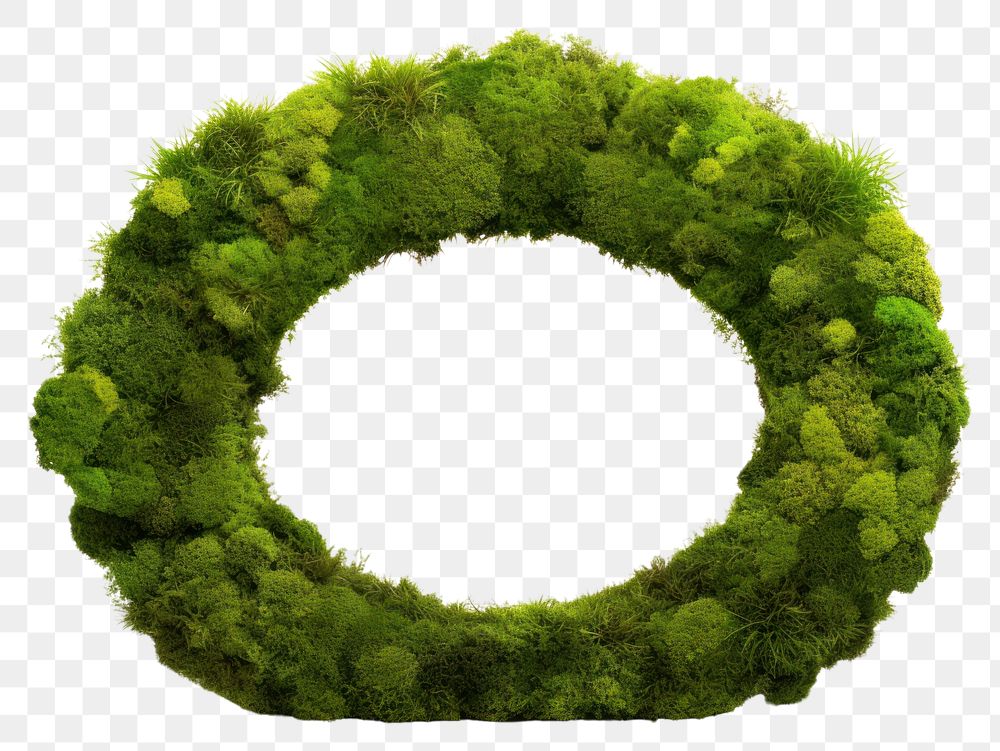 PNG  Circle nature wreath plant. AI generated Image by rawpixel.