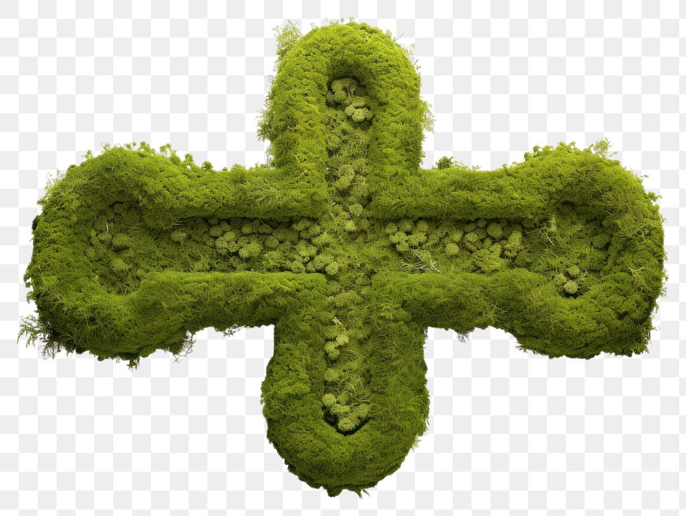 PNG  Cross shapes symbol plant green. AI generated Image by rawpixel.