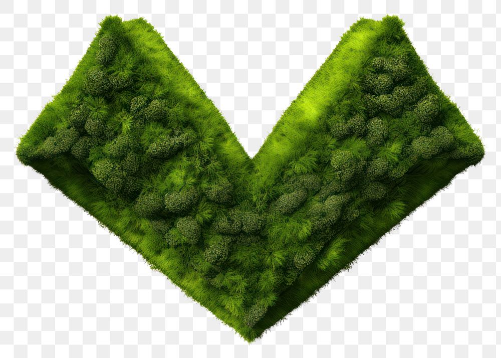PNG  Rhombus moss plant white background. AI generated Image by rawpixel.