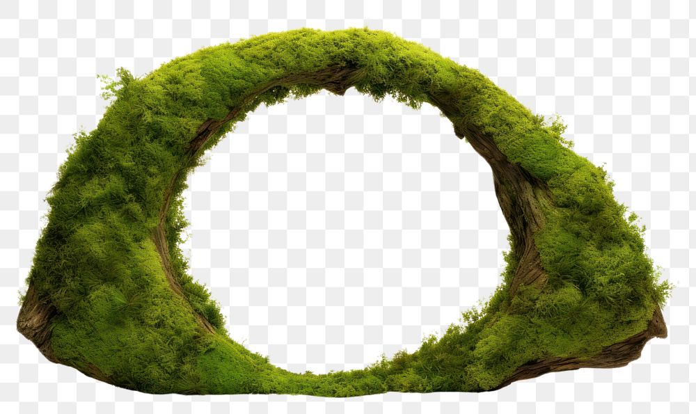 PNG  Semi circle moss outdoors nature. AI generated Image by rawpixel.