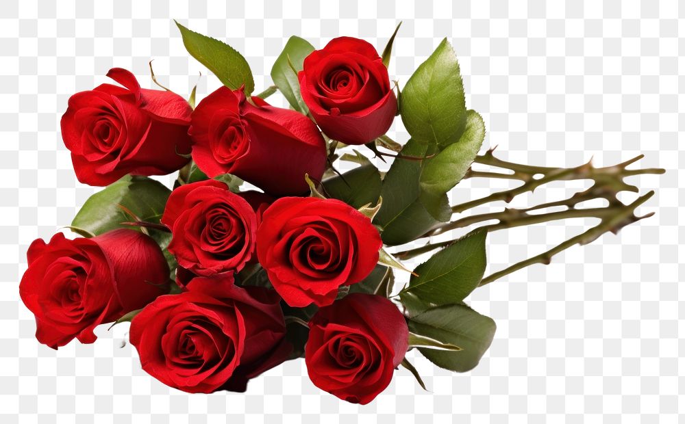 PNG Bouquet of red roses flower plant white background.