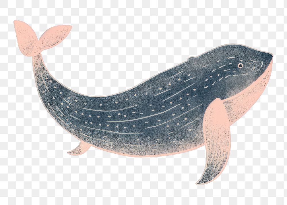 PNG  Chalk style whale animal fish underwater.
