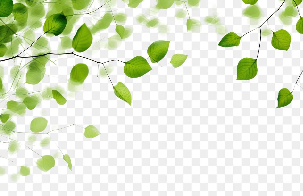 PNG Green leaves backgrounds plant leaf. AI generated Image by rawpixel.