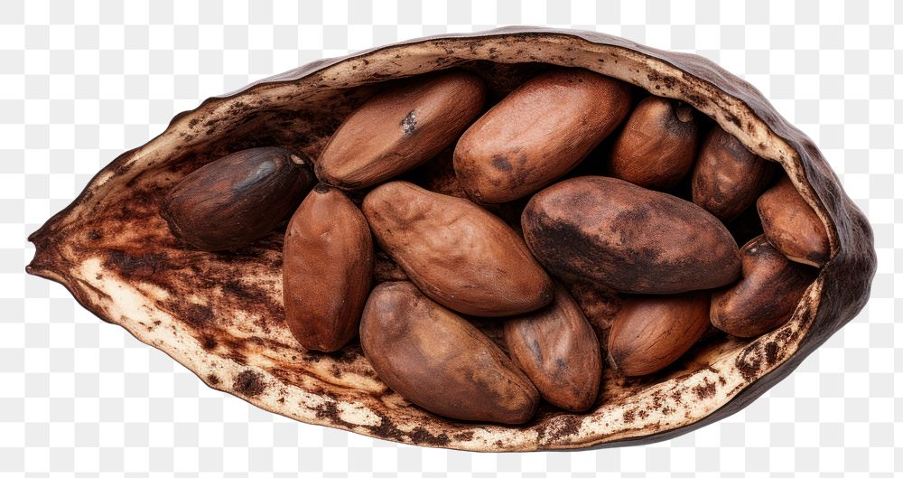 PNG Half of cocoa seed vegetable plant food. AI generated Image by rawpixel.