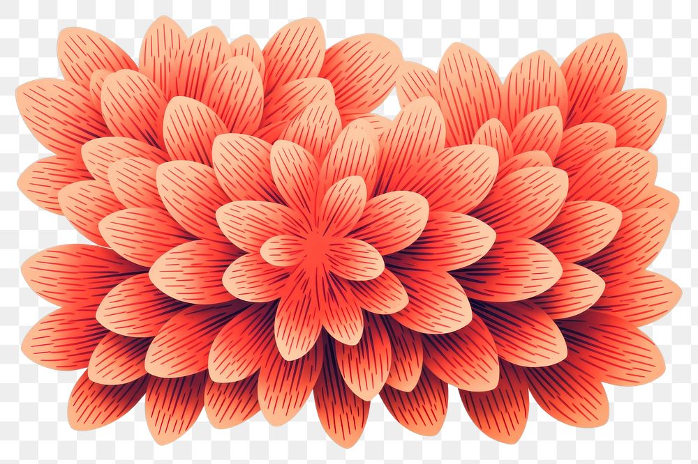 PNG  Petals backgrounds flower creativity. AI generated Image by rawpixel.