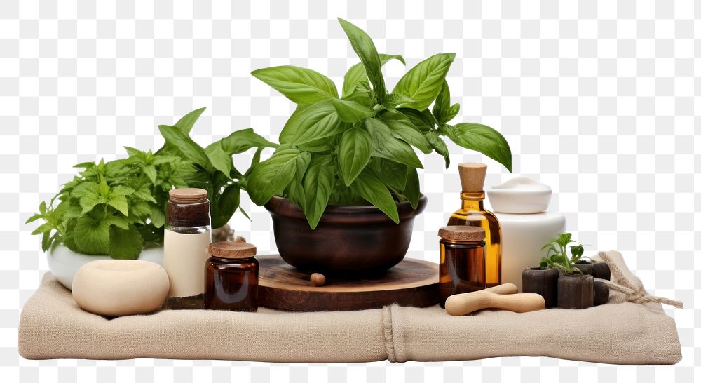 PNG Spa massage herbs bottle plant.