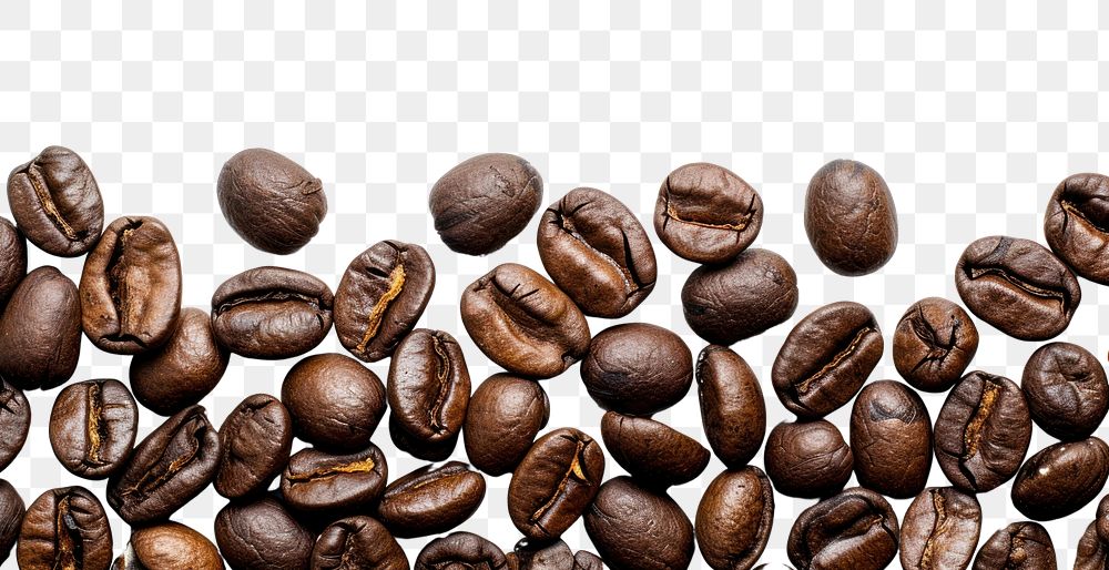 PNG Coffee beans border coffee backgrounds white background.