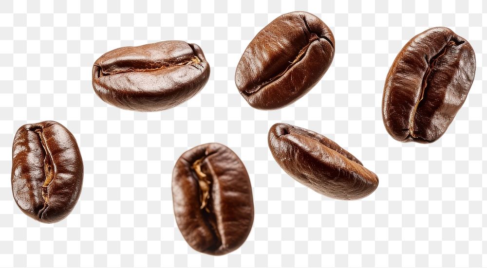 PNG Coffee beans in flight coffee white background coffee beans.