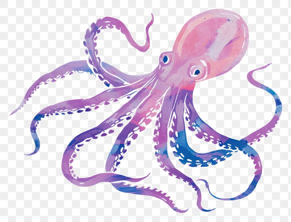 PNG An octopus in the style of minimalist illustrator animal white background invertebrate.