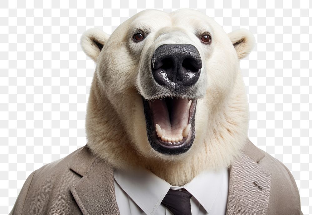 PNG Selfie bear mammal animal dog.