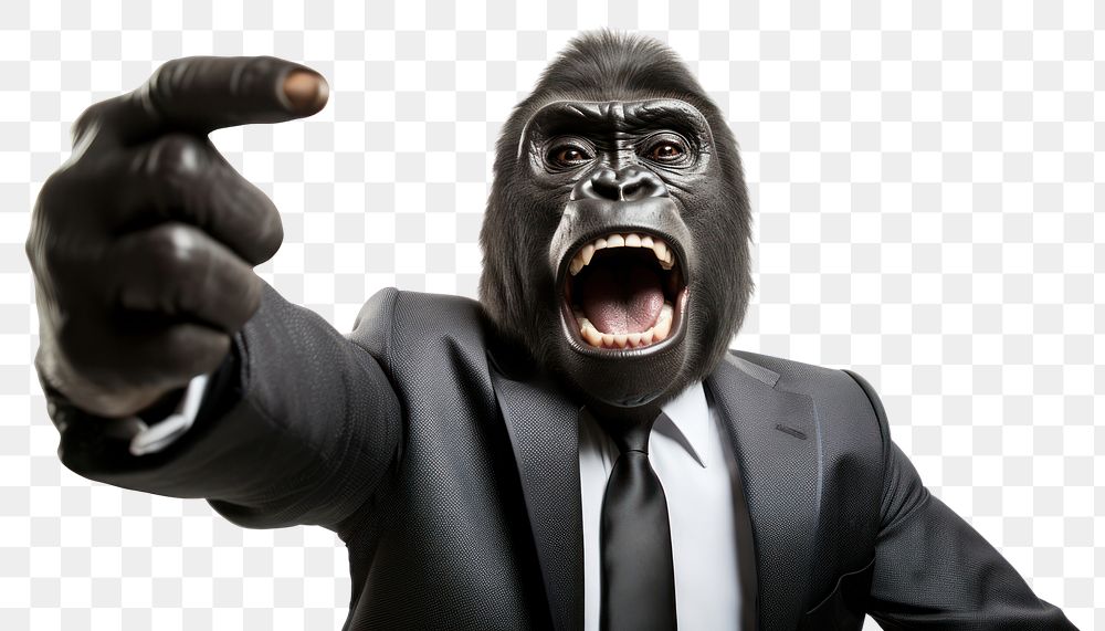 PNG Selfie gorilla portrait mammal animal.