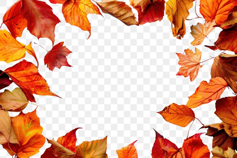 PNG Frame Of Autumn Leaves backgrounds autumn leaves.