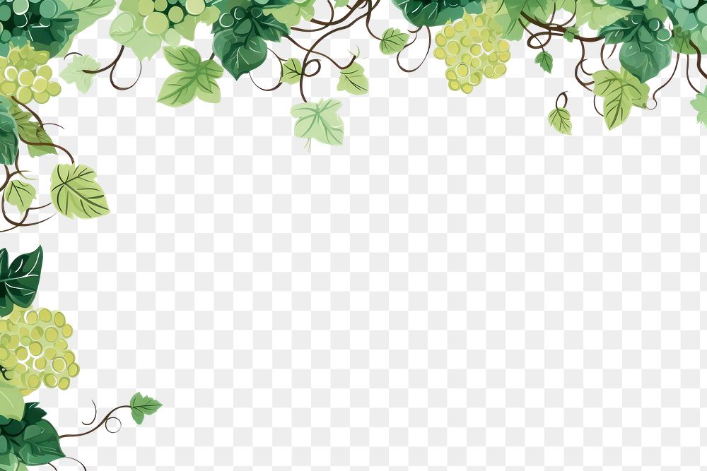 PNG Vines backgrounds pattern grapes.