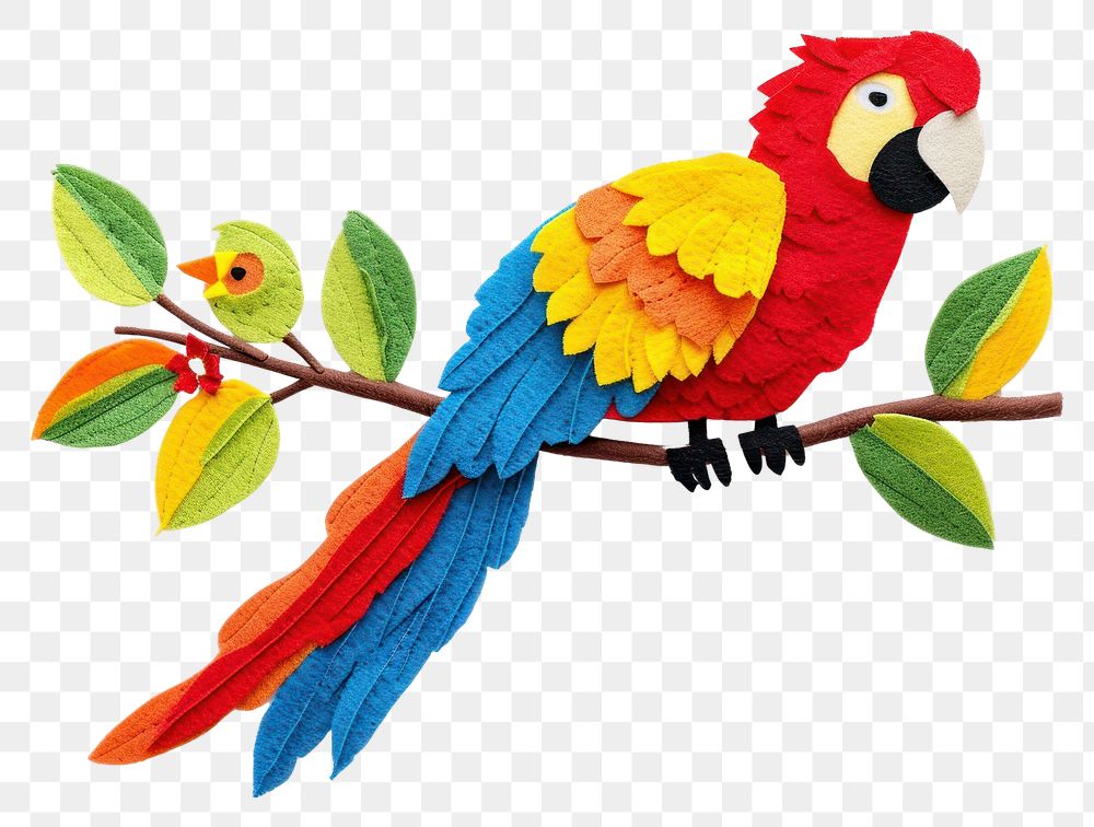 PNG Parrot animal craft bird.