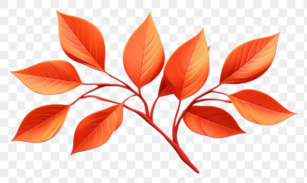 PNG Autumn leaves plant leaf white background.