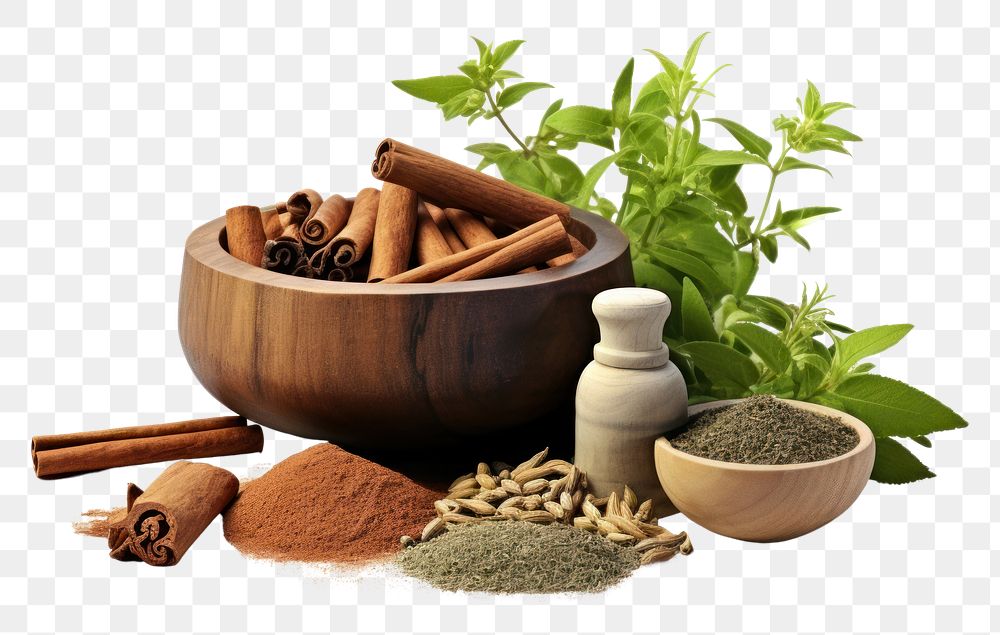 PNG Ayurveda spice plant herbs