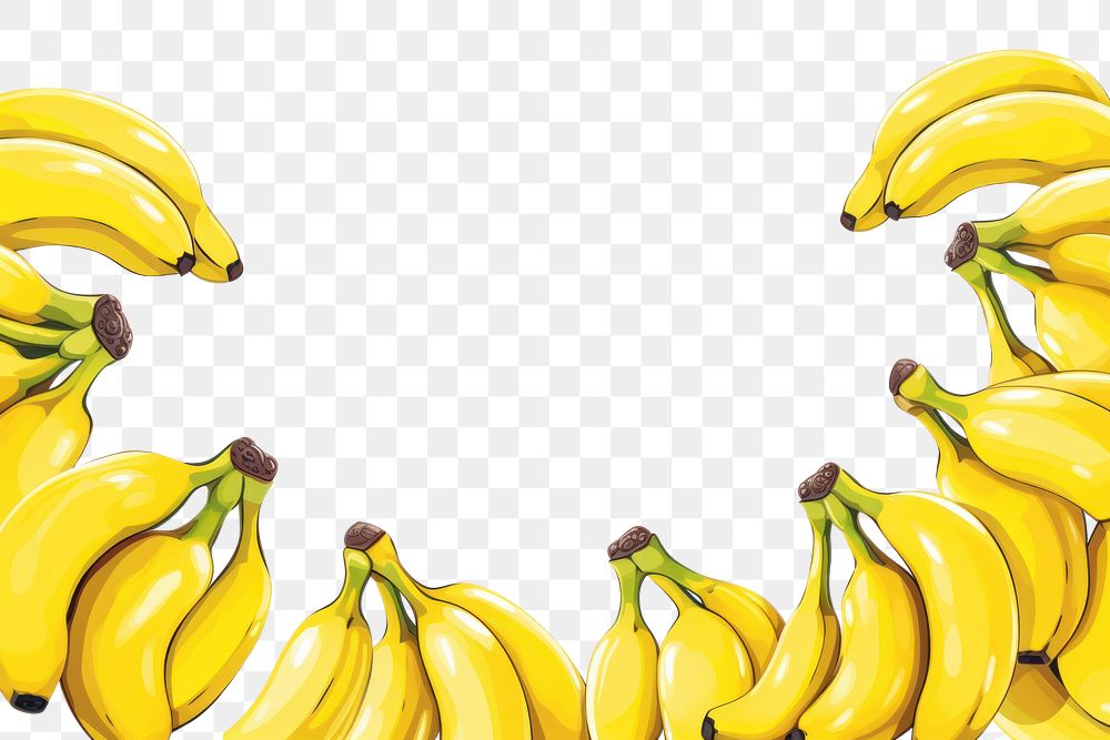 PNG Banana line horizontal border backgrounds fruit plant.