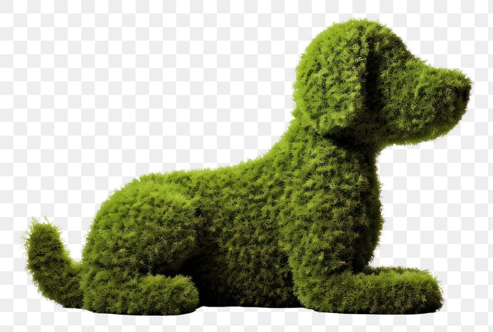 PNG Grass cut in dog shape animal mammal plant.
