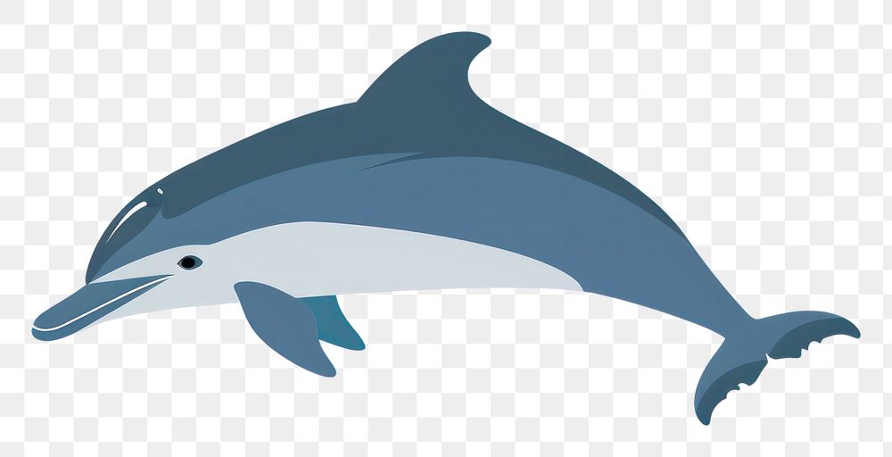 PNG Dolphin animal mammal underwater.
