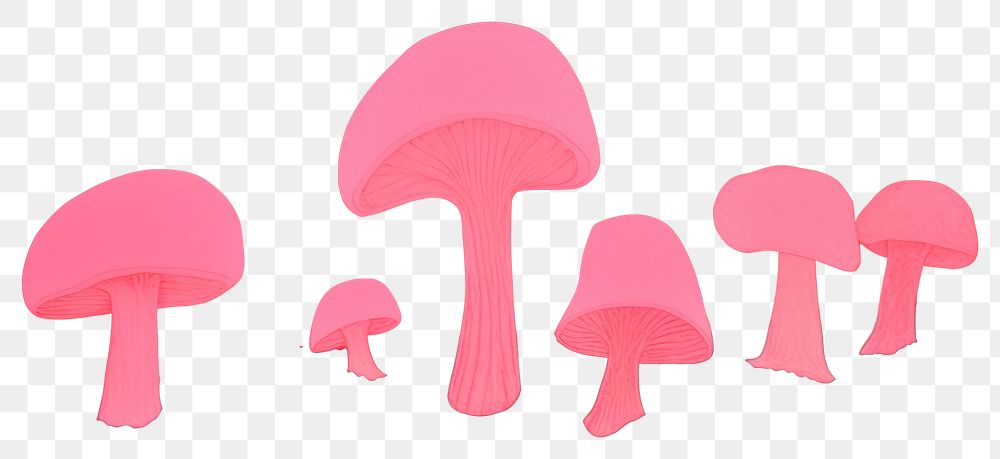 PNG Mushroom fungus plant pink.