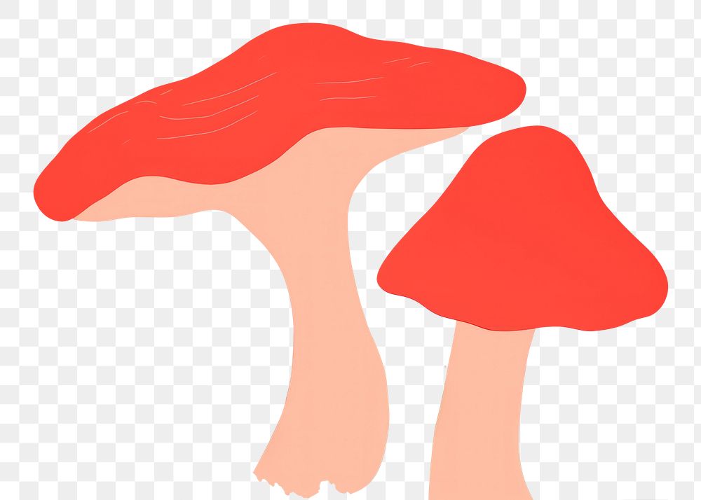 PNG Mushroom fungus toadstool vegetable.