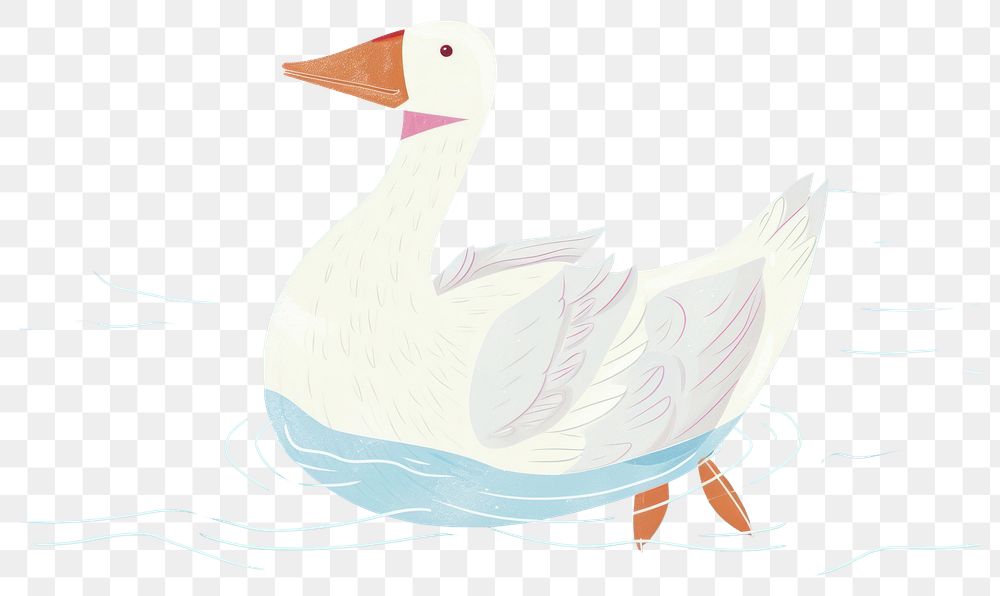 PNG Cute goose on the lake illustration anseriformes waterfowl animal.
