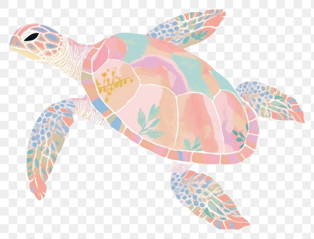 PNG  Turtle reptile drawing animal. AI generated Image by rawpixel.