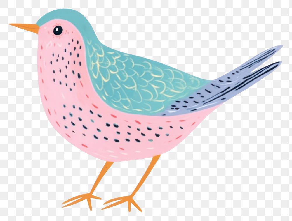 PNG  Bird drawing pattern animal. AI generated Image by rawpixel.