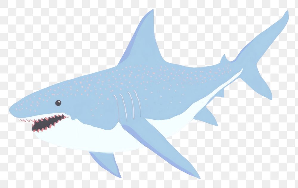 PNG  Shark drawing animal fish. AI generated Image by rawpixel.