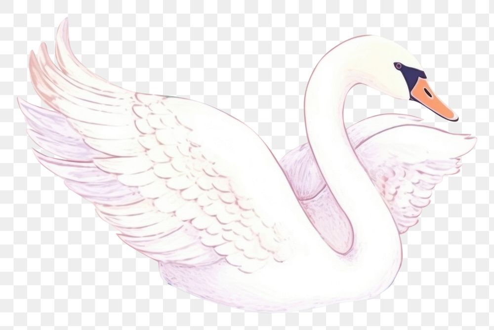PNG  Animal bird swan creativity. 
