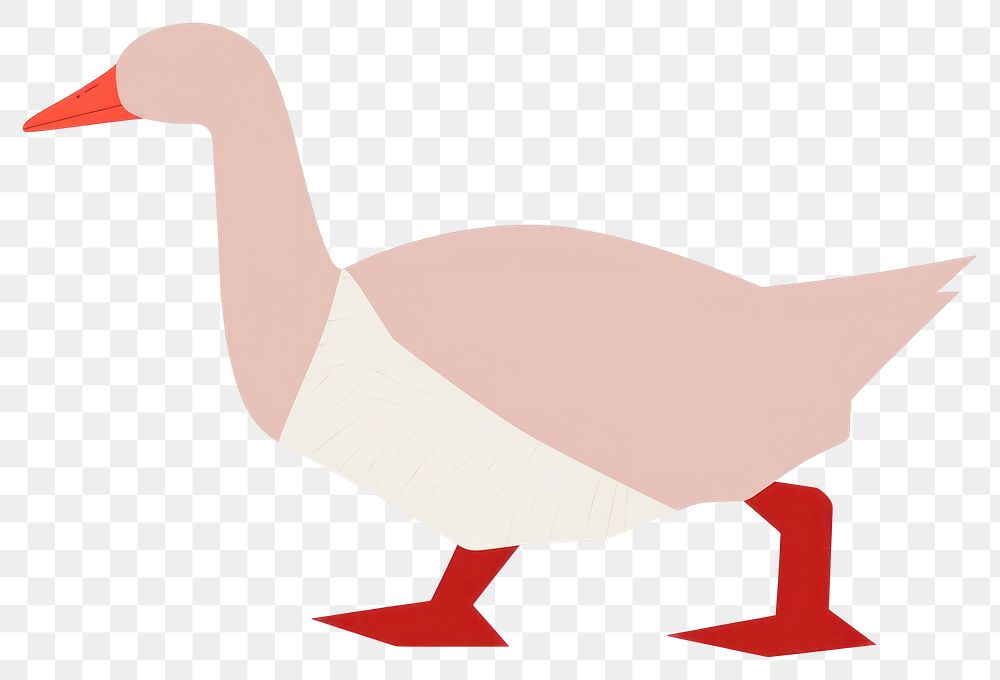 PNG Goose animal bird 