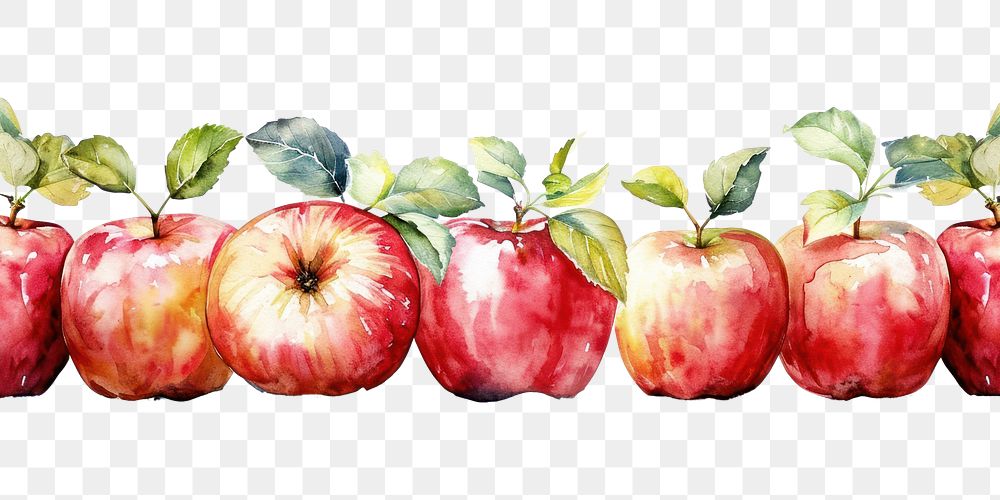 PNG  Apples border painting fruit plant.